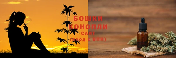 мдпв Володарск