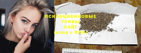 тгк Няндома