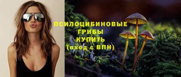 гидра Остров