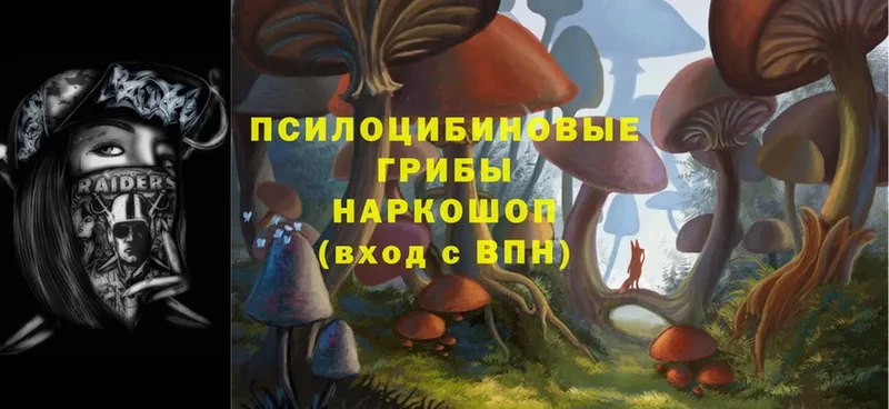 кракен ССЫЛКА  Беломорск  Галлюциногенные грибы Psilocybine cubensis  сайты даркнета формула  даркнет сайт 