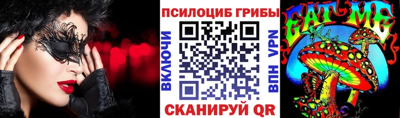 Псилоцибиновые грибы Psilocybe Беломорск
